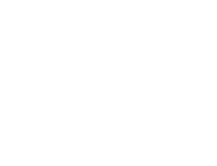 Fraction Scientific