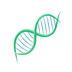 Fraction Scientific